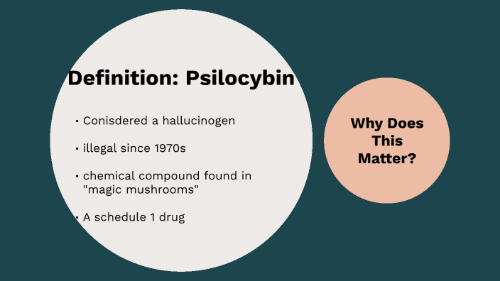 Psilocybin Research By Savannah Silengo On Prezi