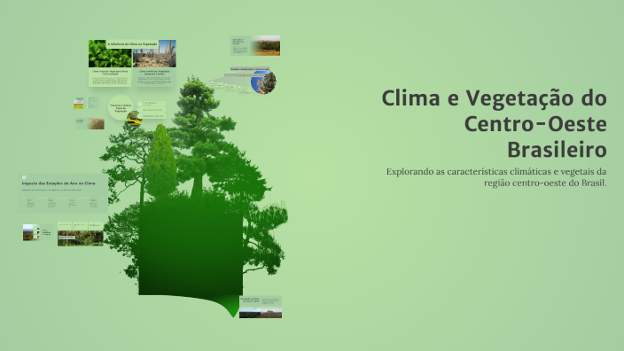 Clima e Vegetação do Centro-Oeste Brasileiro by anne melissa on Prezi