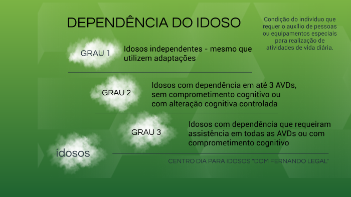 GRAU DE DEPENDÊNCIA by Mayara Leal on Prezi