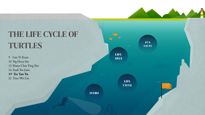 THE LIFE CYCLE OF TURTLES by Joey Tee on Prezi