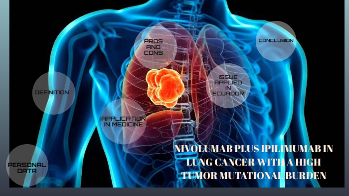 NIVOLUMAB PLUS IPILIMUMAB IN LUNG CANCER WITH A HIGH TUMOR