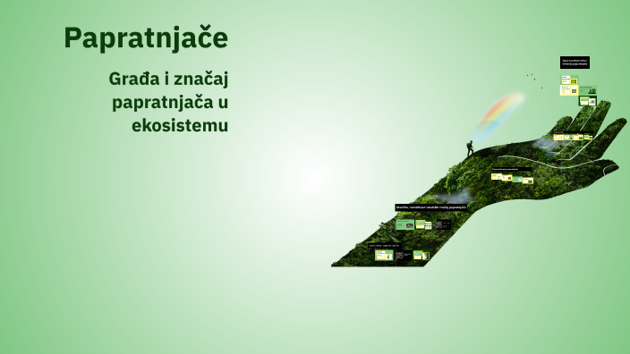 Papratnjače by Arman Kekić on Prezi