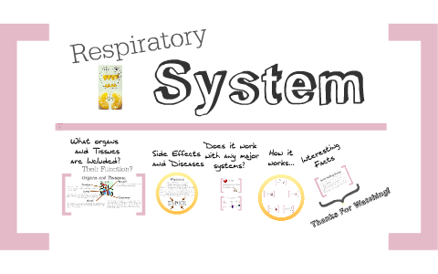 The Respiratory System by on Prezi