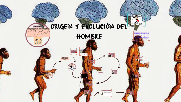 Origen Y Evoluci N Del Hombre By Daniella Beatriz Gallardo General On Prezi