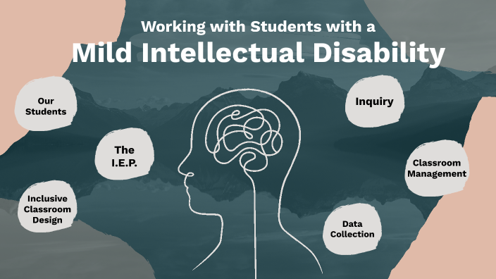 students-with-mild-intellectual-disabilities-by-b-cunningham