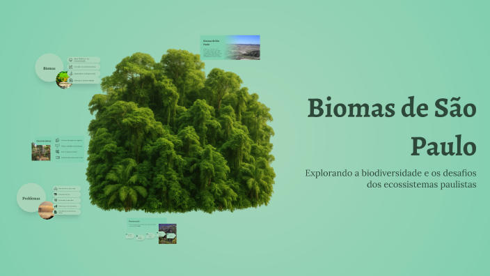 Biomas de São Paulo by Bruna Dias on Prezi