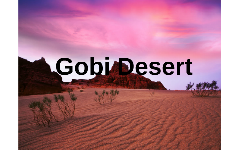 Gobi Desert By Karina Medina