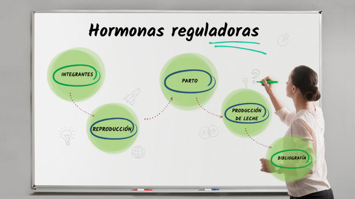 Hormonas By Ignacia Alzamora On Prezi