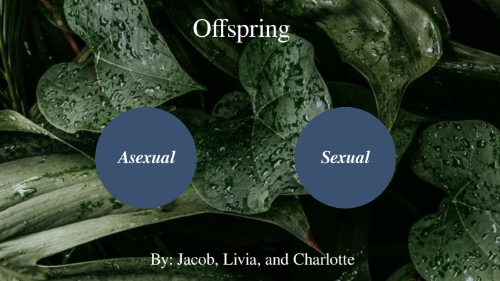 Science : Offspring by Charlotte Gregg on Prezi