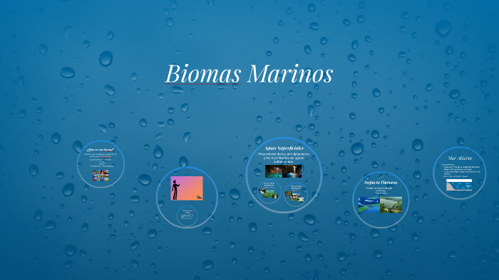 Biomas Marinos by angie almillategui on Prezi