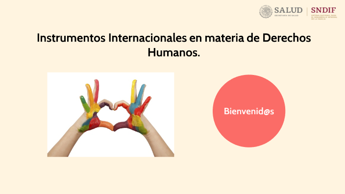 Instrumentos Internacionales En Materia De Derechos Humanos By Carolina Sánchez Olvera 7257