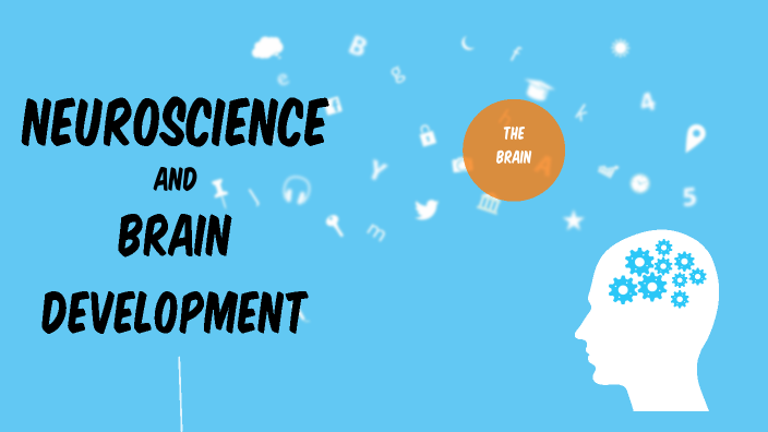 latest findings in research regarding neuroscience and brain development
