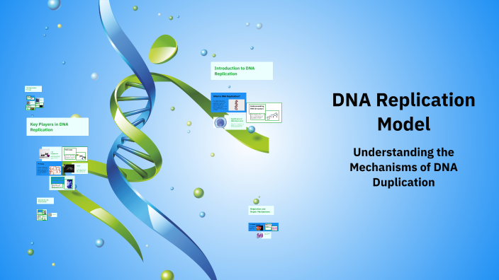 DNA Replication Model by EMMA HOWELL on Prezi