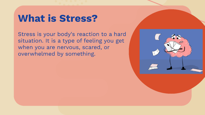 Understanding Stress by Ellie Rothamer on Prezi