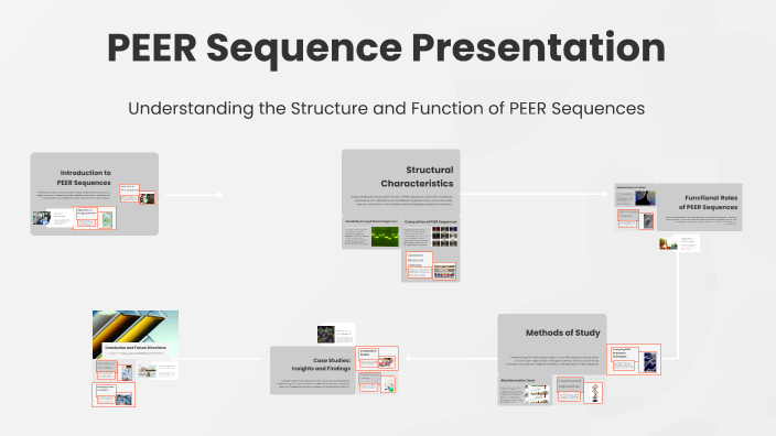 PEER Sequence Presentation by Alyson Brickey on Prezi