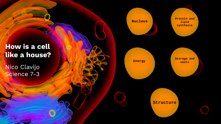 how-is-a-cell-like-a-house-by-nicholas-clavijo-on-prezi-next