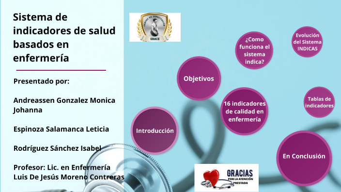 Sistema de indicadores de salud basados en enfermería by Johanna