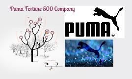 Puma Fortune 500 Company by Dalton Wiggins
