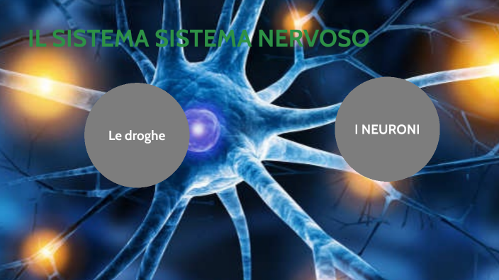 presentazione scienze neuroni by alexander ottaviani on Prezi