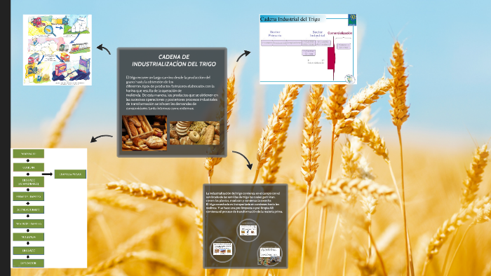 CADENA DE INDUSTRIALIZACION DEL TRIGO by Sathy Nieva on Prezi
