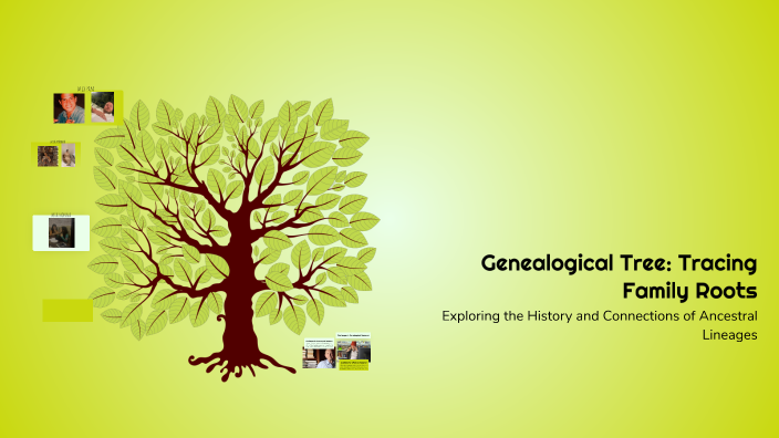 Trace Roots Genealogical Tree: Tracing Family Roots by Daniel Andrade on Prezi