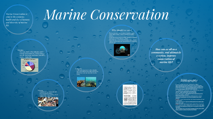 Marine Conservation by Monique Mitchell on Prezi