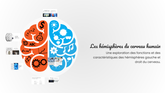 Les hémisphères du cerveau humain by Boujemaa Elkrik on Prezi
