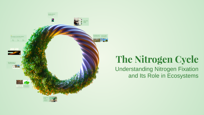 The Nitrogen Cycle by Mehreen Rashid on Prezi