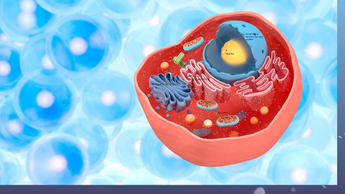 la cellula by Irene Angela valeria samengo on Prezi