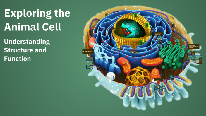 Exploring the Animal Cell by MARJULANIE YUSON on Prezi