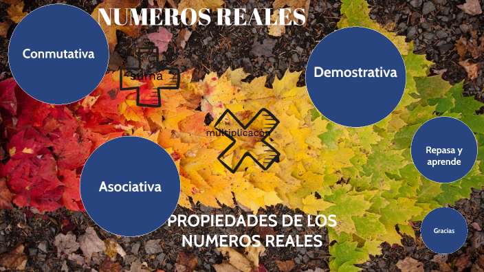 Propiedades De Los Numeros Reales By Ximena Arcos On Prezi 5496