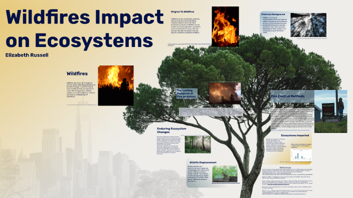 Wildfire Impact on Ecosystems by Elizabeth Russell on Prezi