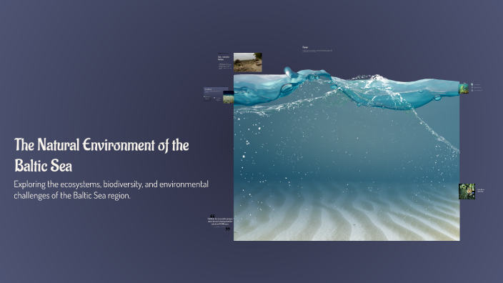 The Natural Environment of the Baltic Sea by Dawid Klimczyk on Prezi