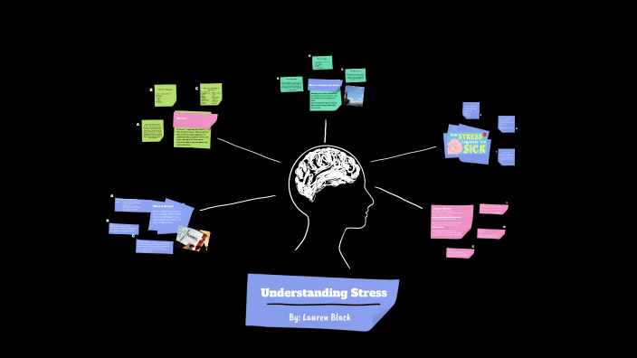 Understanding Stress by Lauren Black on Prezi