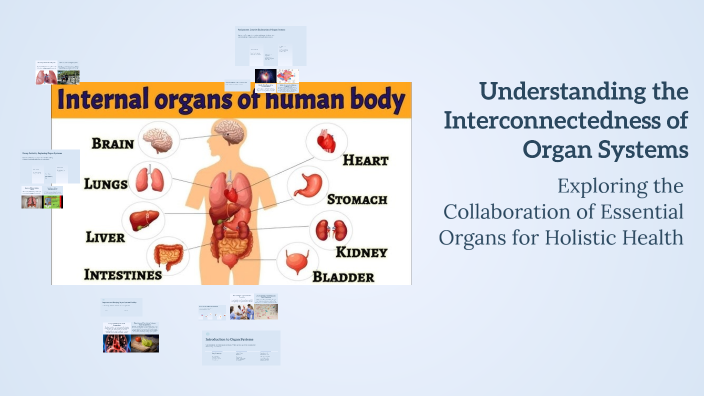 Understanding the Interconnectedness of Organ Systems by Mark Lariosa ...