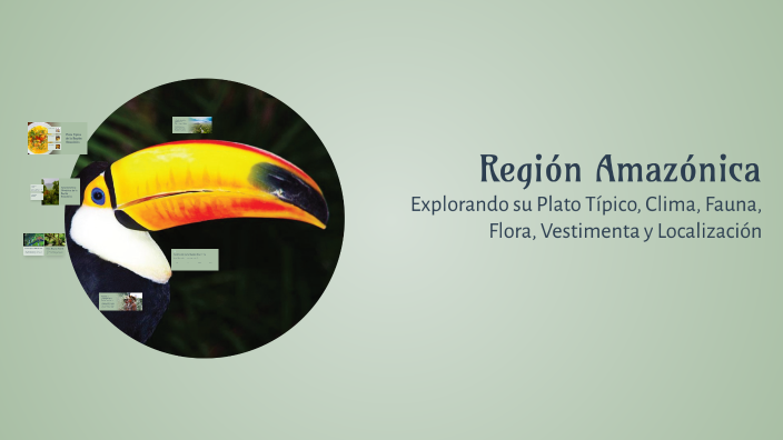 Región Amazónica by Alvaro Javier Cabas Rivas on Prezi