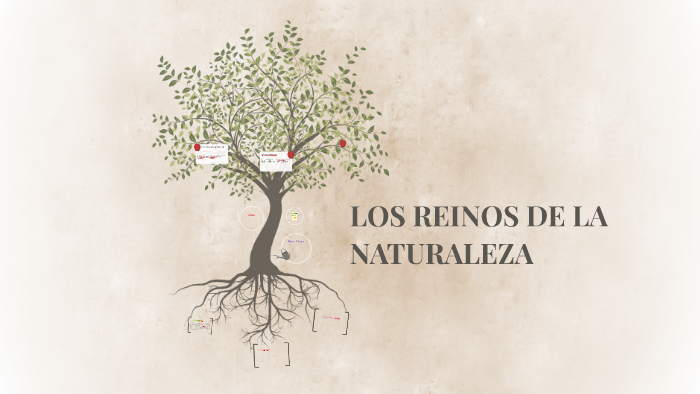 LOS REINOS DE LA NATURALEZA by CAROLINA CARRANZA on Prezi