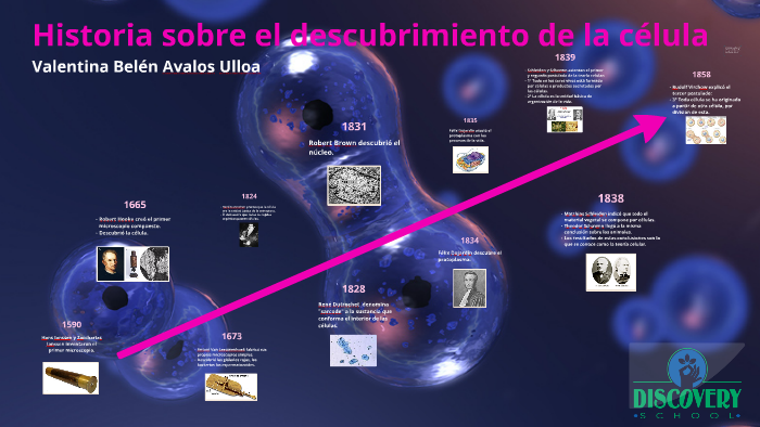 Historia sobre el descubrimiento de la célula by Valentina Belen Avalos ...
