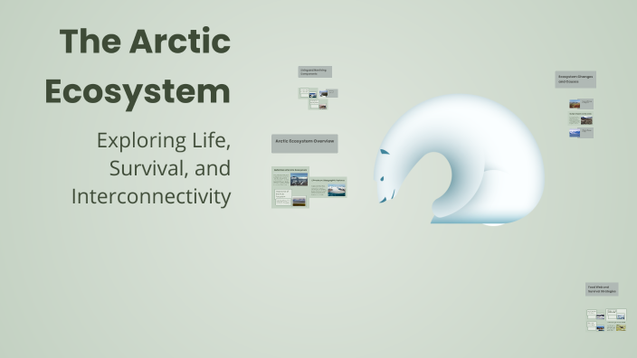 The Arctic Ecosystem by Colette Richbourg on Prezi