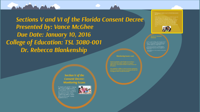 Florida Consent Decree Sections V And VI By Vance McGhee