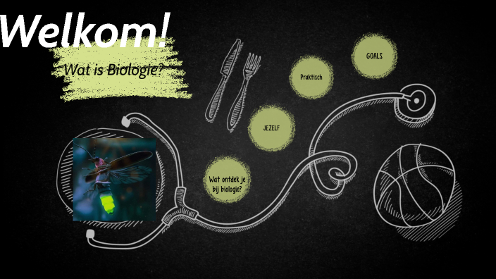 Wat is biologie? by Peter Morren on Prezi