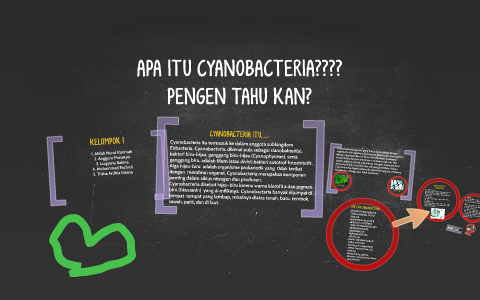 APA ITU CYANOBACTERIA???? by afifah karim on Prezi