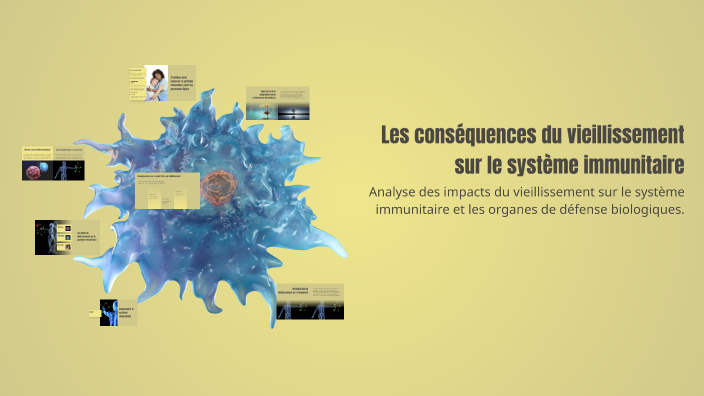 Les conséquences du vieillissement sur le système immunitaire by Safae ...