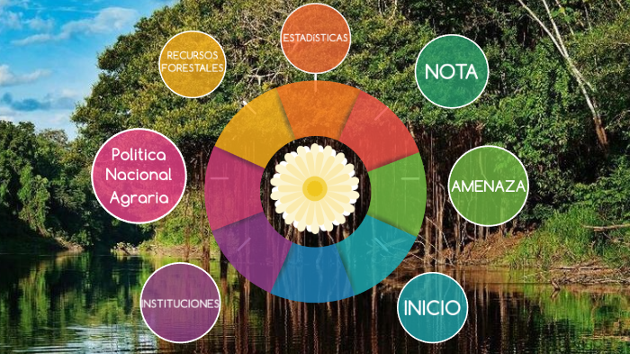 Conservación en los ecosistemas forestales by Valeria Claudia Mora ...