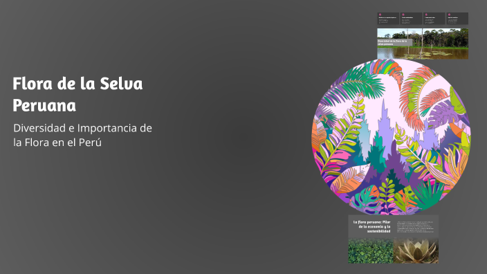 Flora de la Selva Peruana by Carlos Rivero Tristan on Prezi