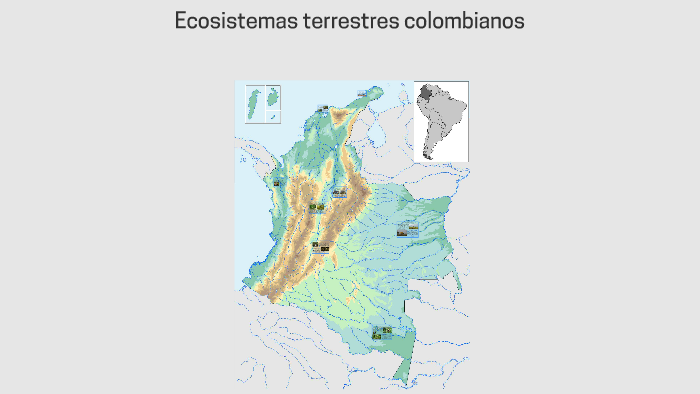Ecosistemas terrestres colombianos by Claudia Palacio on Prezi