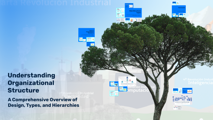 Understanding Organizational Structure by Sean Kelly on Prezi