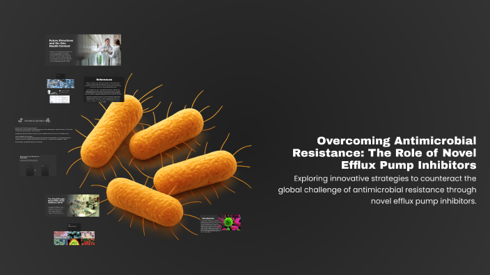 Overcoming Antimicrobial Resistance: The Role of Novel Efflux Pump ...