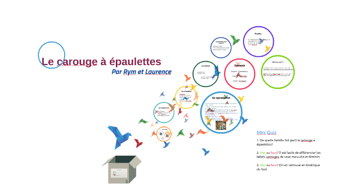 Le Carouge à épaulette By Rym Bouhlal On Prezi