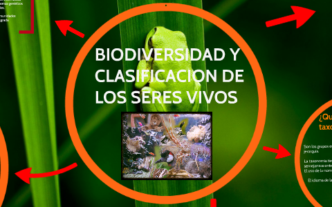 BIODIVERSIDAD Y CLASIFICACIÓN DE LOS SERES VIVOS by